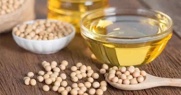 Top Soybean Oil Manufacturers
