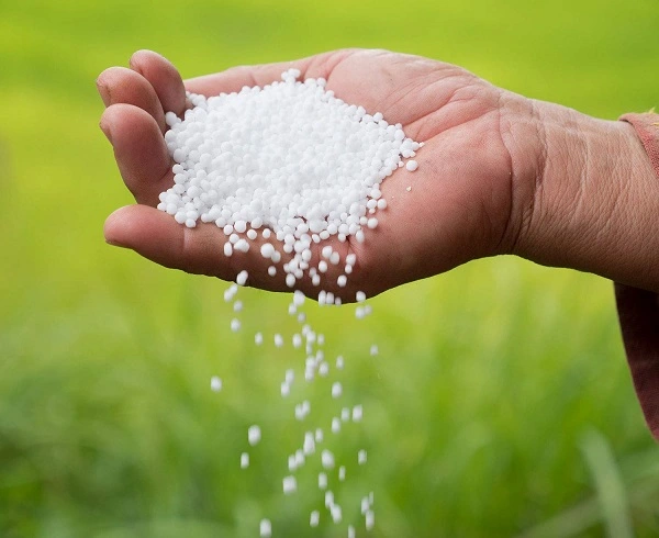 Top 10 Players in the Urea Market