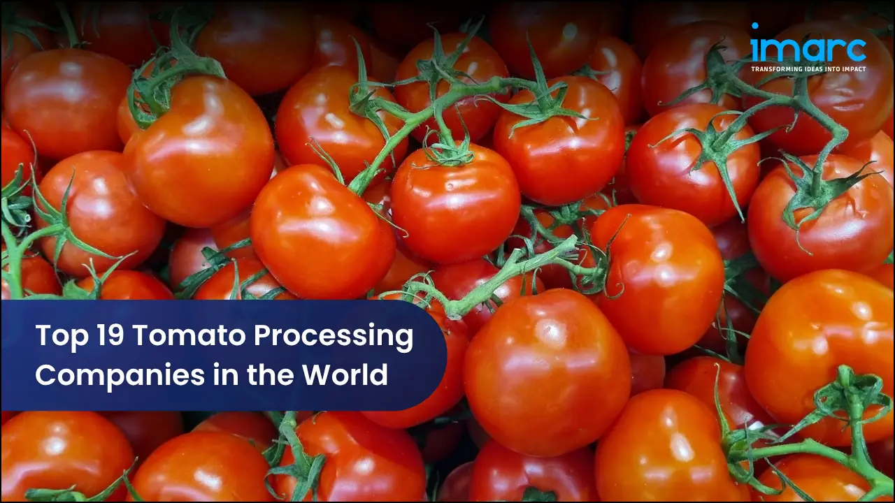 Top 19 Tomato Processing Companies in the World