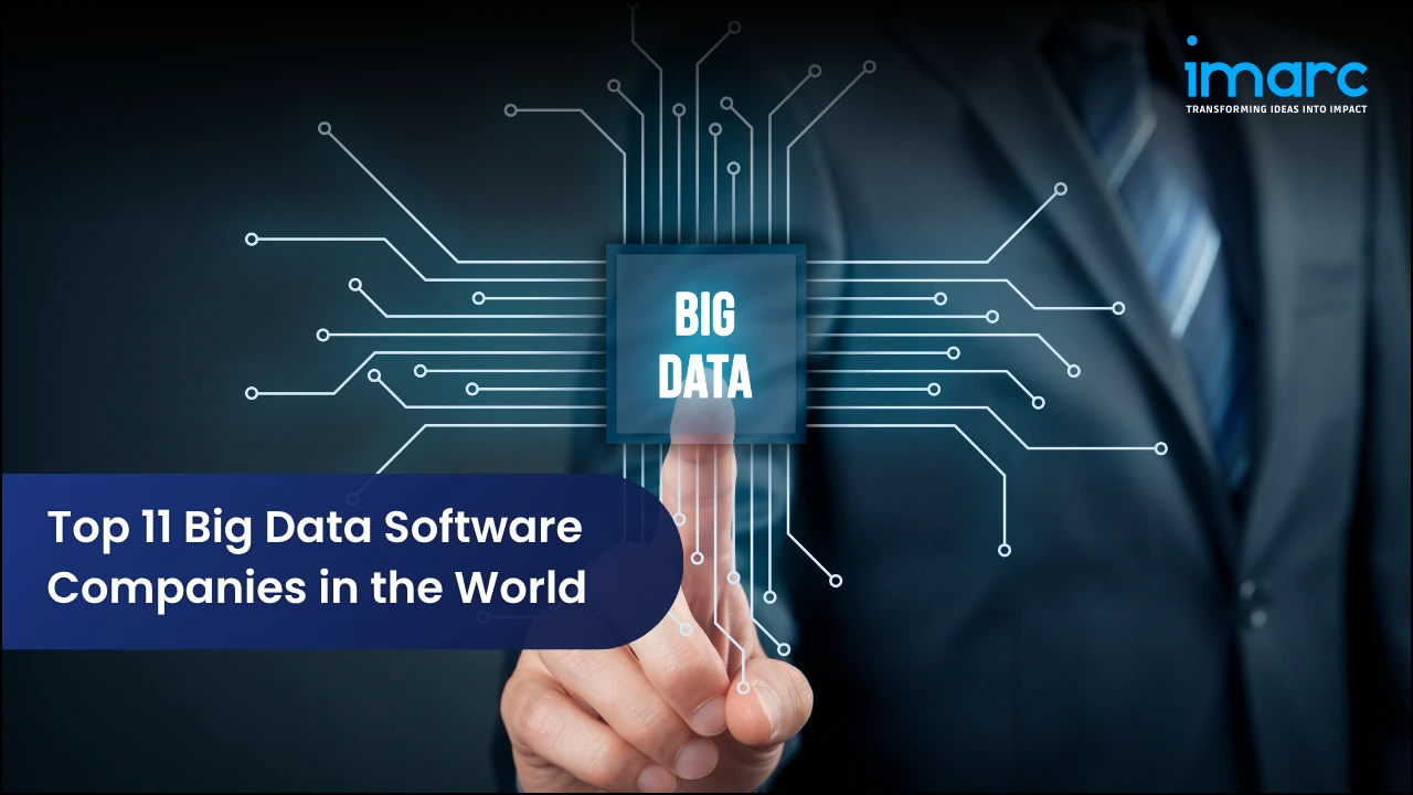 Top 11 Big Data Software Companies in the World