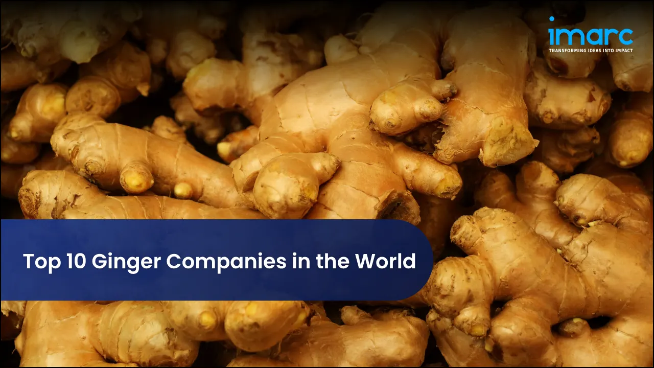 Top 10 Ginger Companies in the World