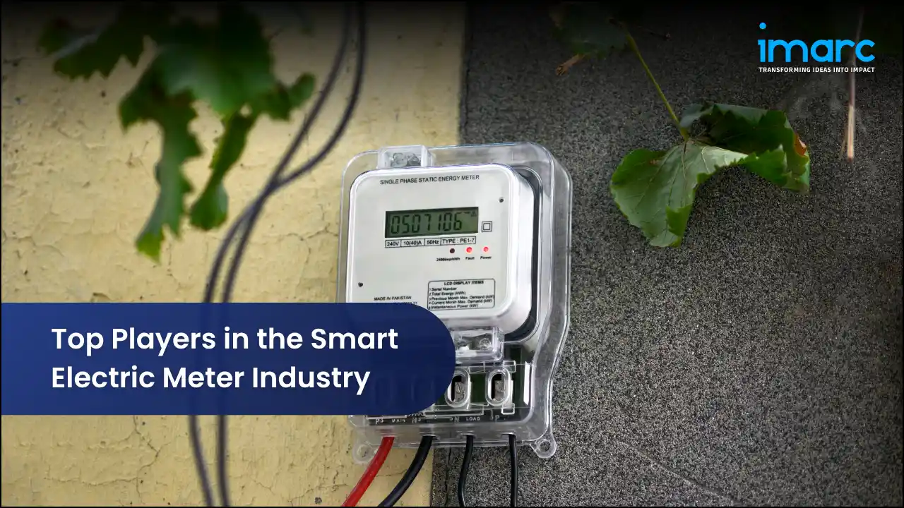 Top Players in the Smart Electric Meter Industry