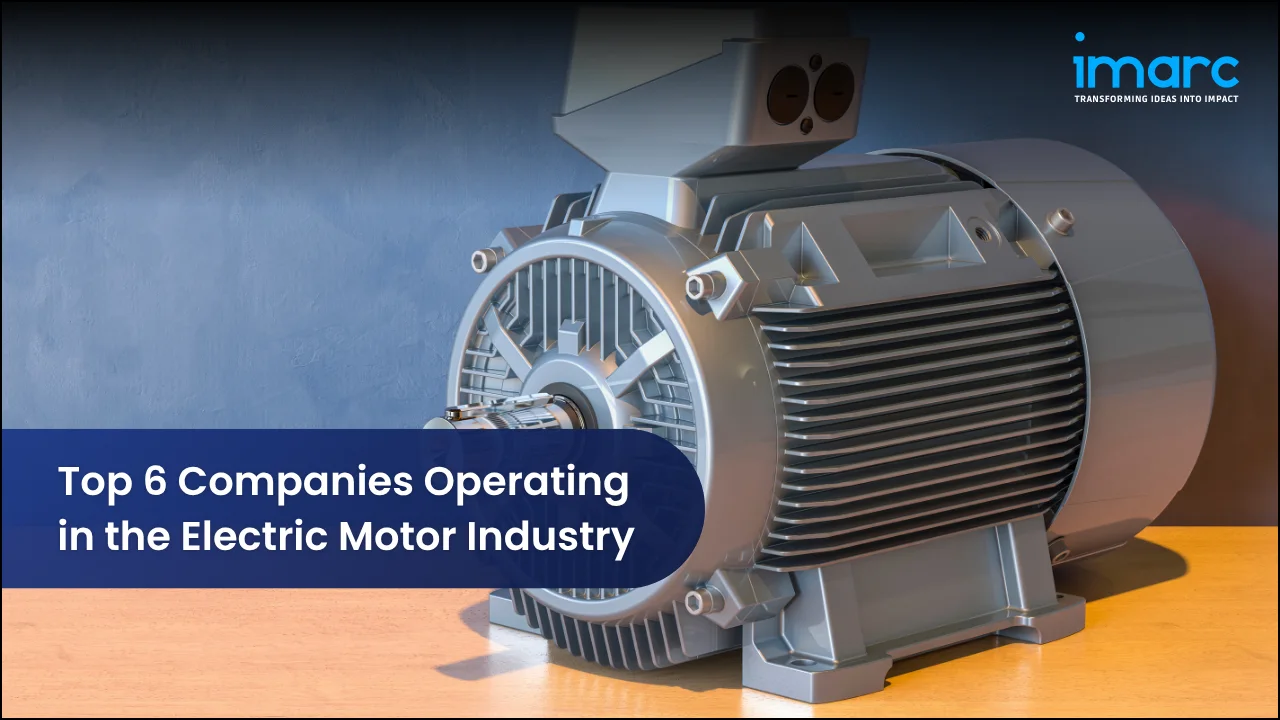 Top 6 Companies Operating in the Electric Motor Industry