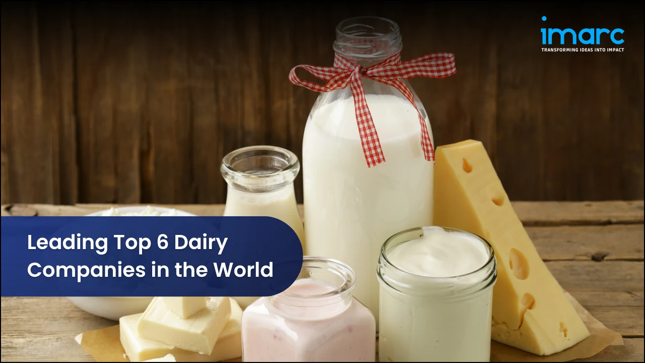 Leading Top 6 Dairy Companies in the World