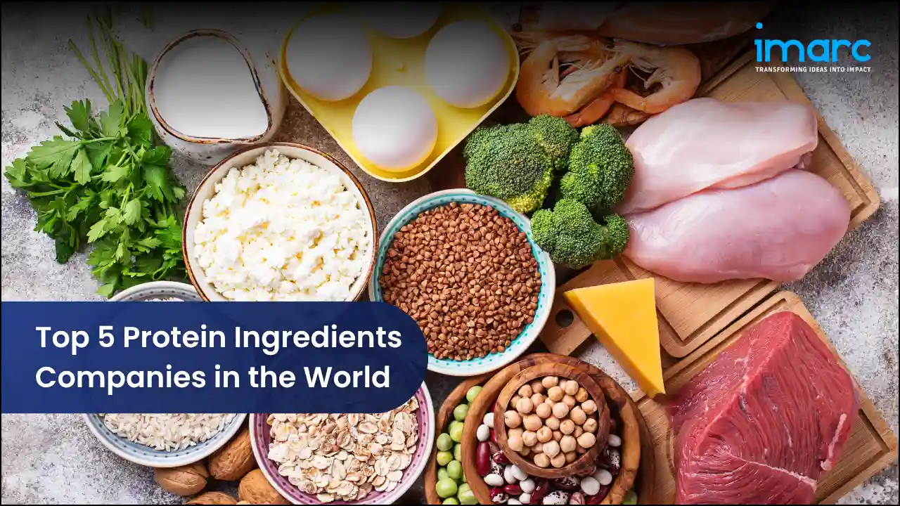Top 5 Protein Ingredients Companies in the World 