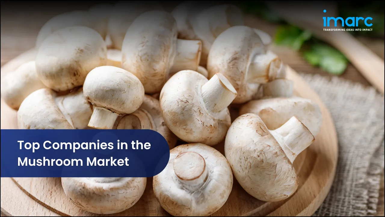 Top Companies in the Mushroom Market