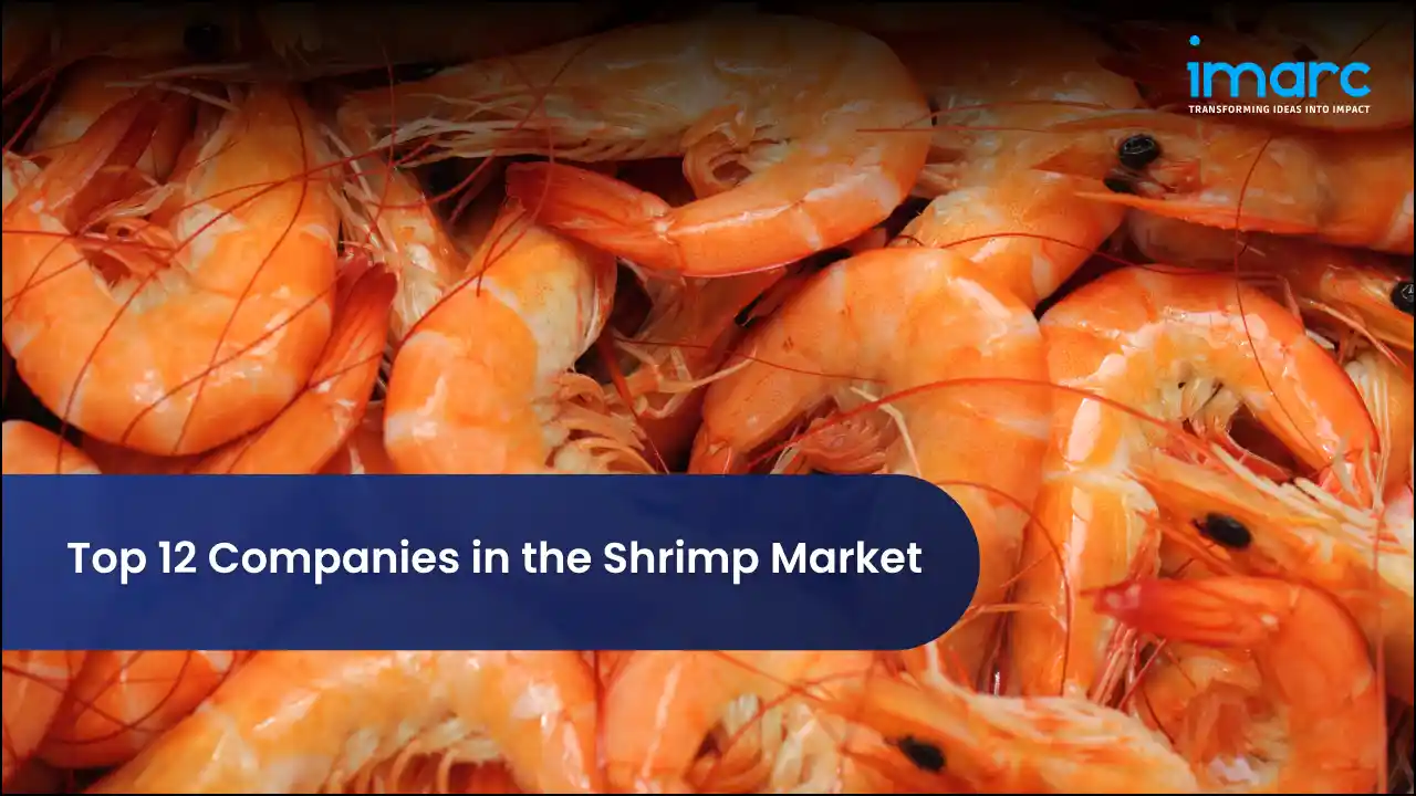 Top 12 Companies in the Shrimp Market