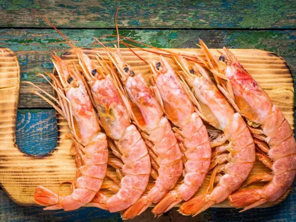 Top 12 Companies in the Shrimp Market