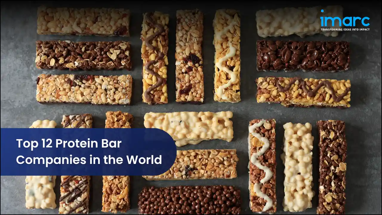 Top 12 Protein Bar Companies in the World