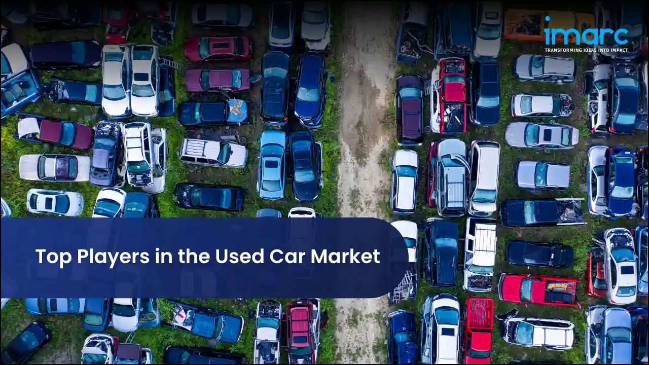 Top Players in the Used Car Market