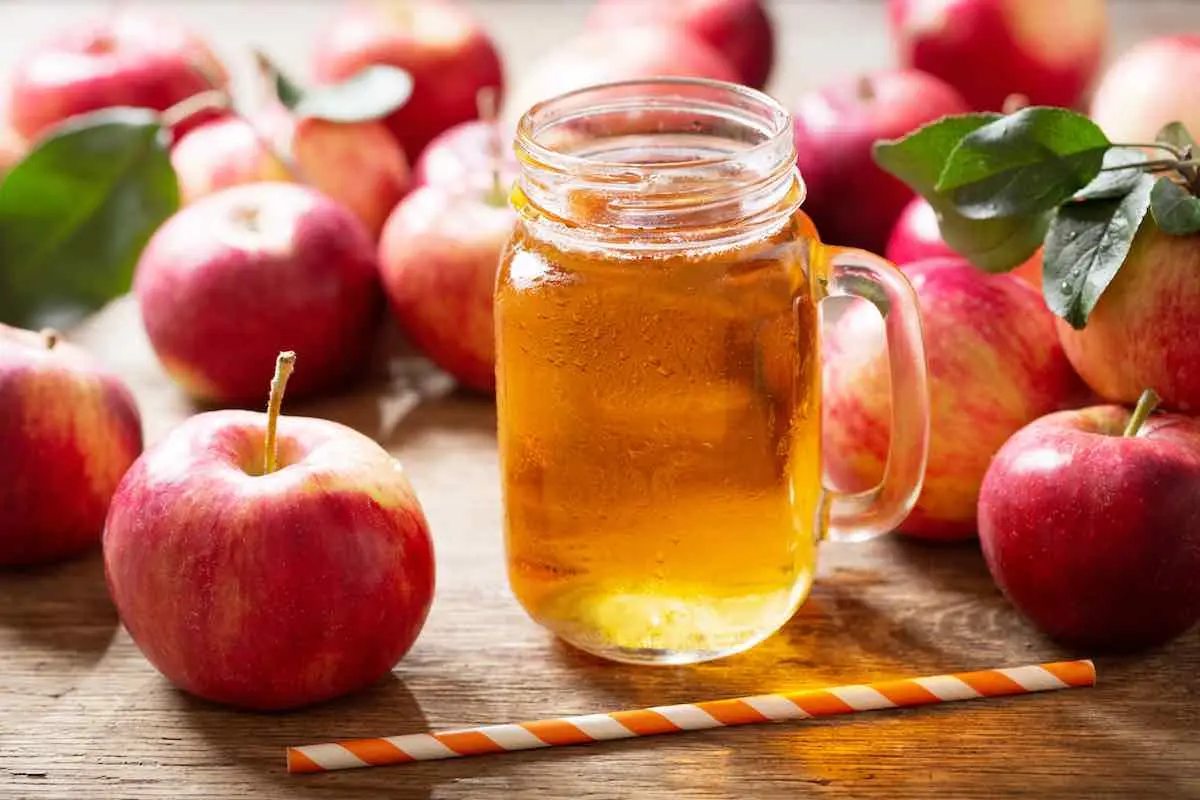 Top 13 Apple Juice Manufacturers in the World 
