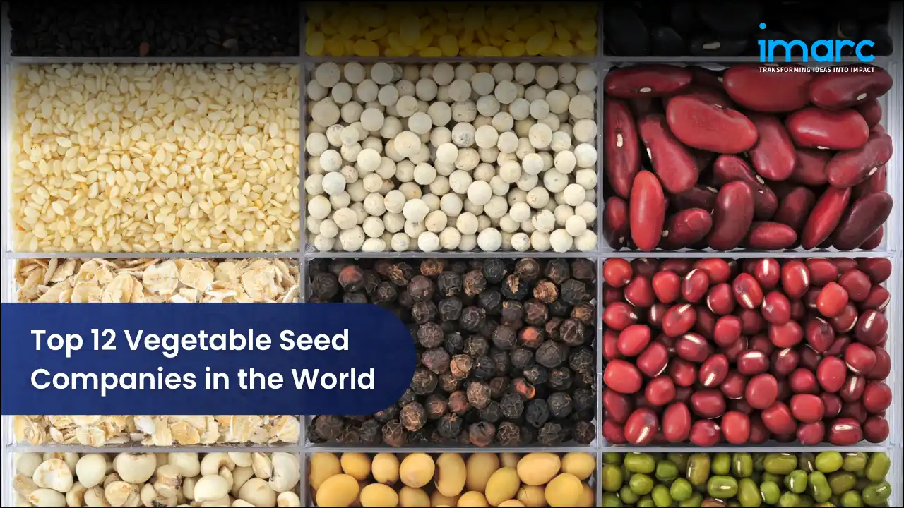 Top 12 Vegetable Seed Companies in the World 