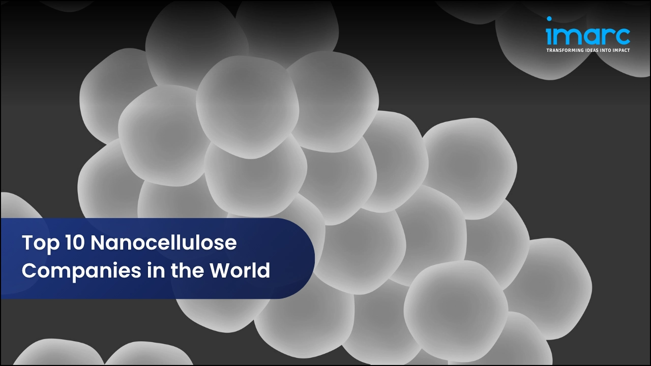 Top 10 Nanocellulose Companies in the World 