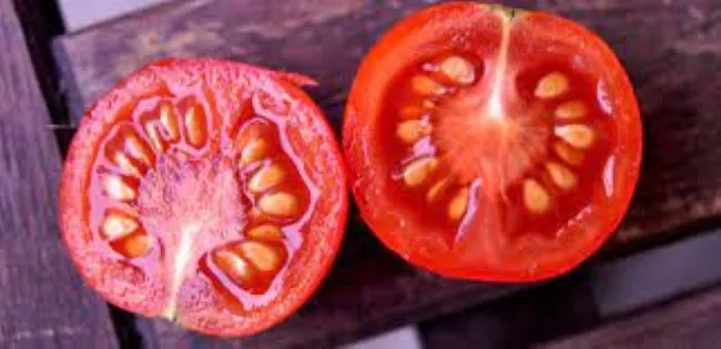 Top 10 Tomato Seed Companies in the World 