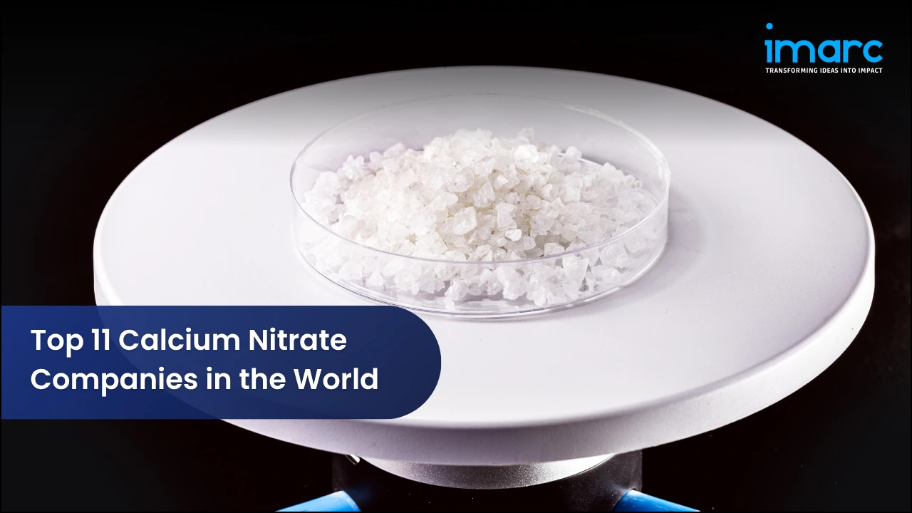 Top 11 Calcium Nitrate Companies in the World