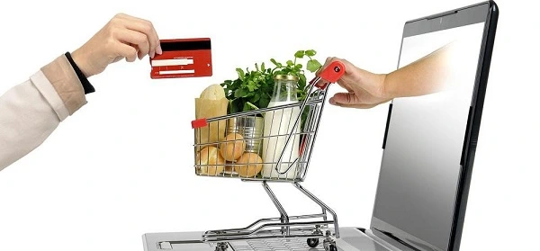 Top 6 Indian Online Grocery Companies
