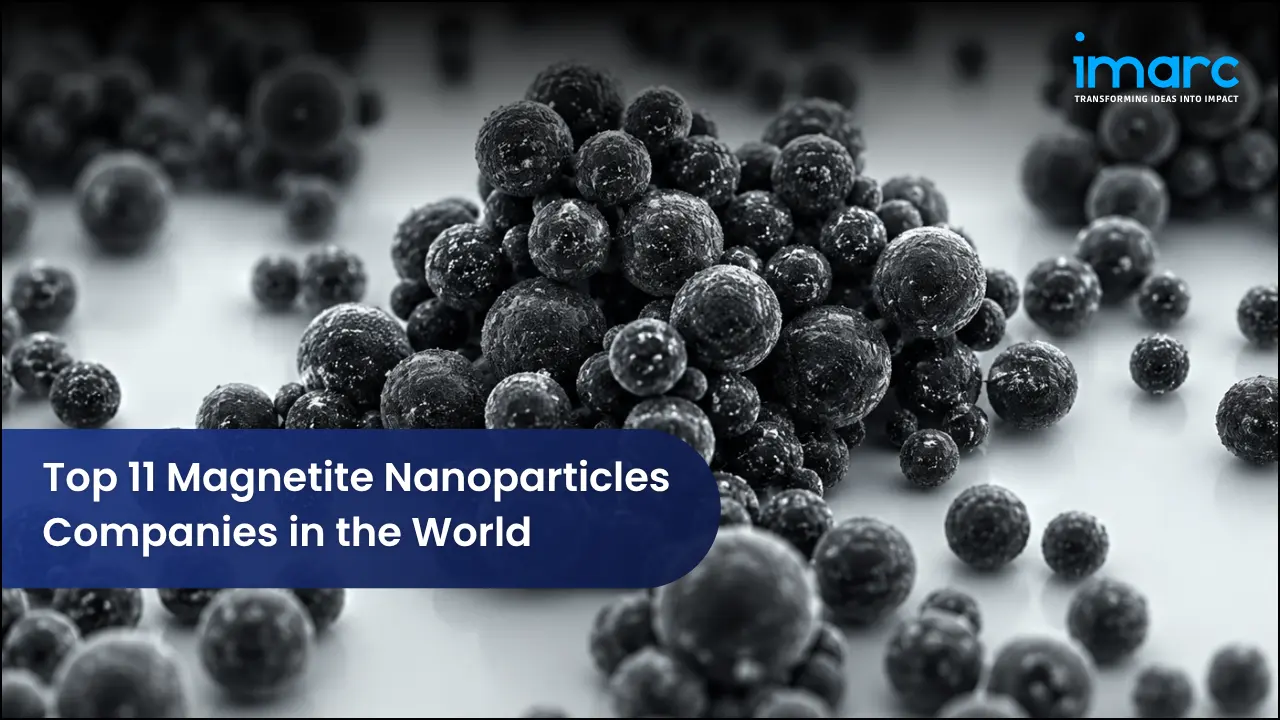Top 11 Magnetite Nanoparticles Companies in the World 