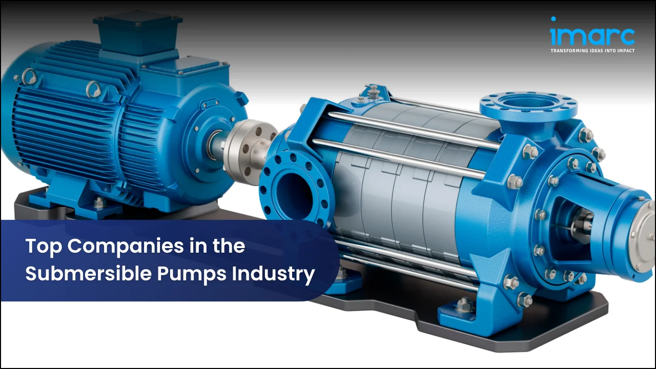 Top Companies in the Submersible Pumps Industry