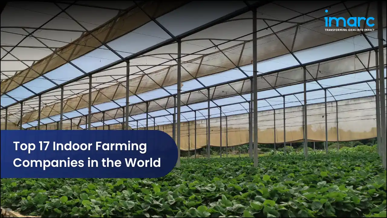 Top 17 Indoor Farming Companies in the World