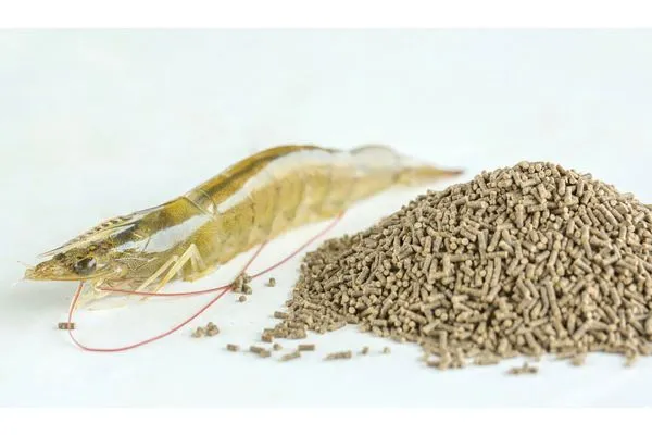 Top 5 Shrimp Feed Companies in the World