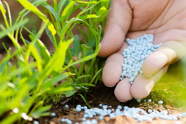 Top 12 Indian Fertilizer Companies