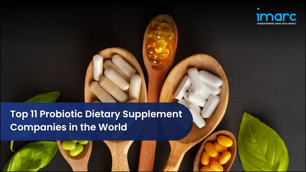  Top 11 Probiotic Dietary Supplement Companies in the World