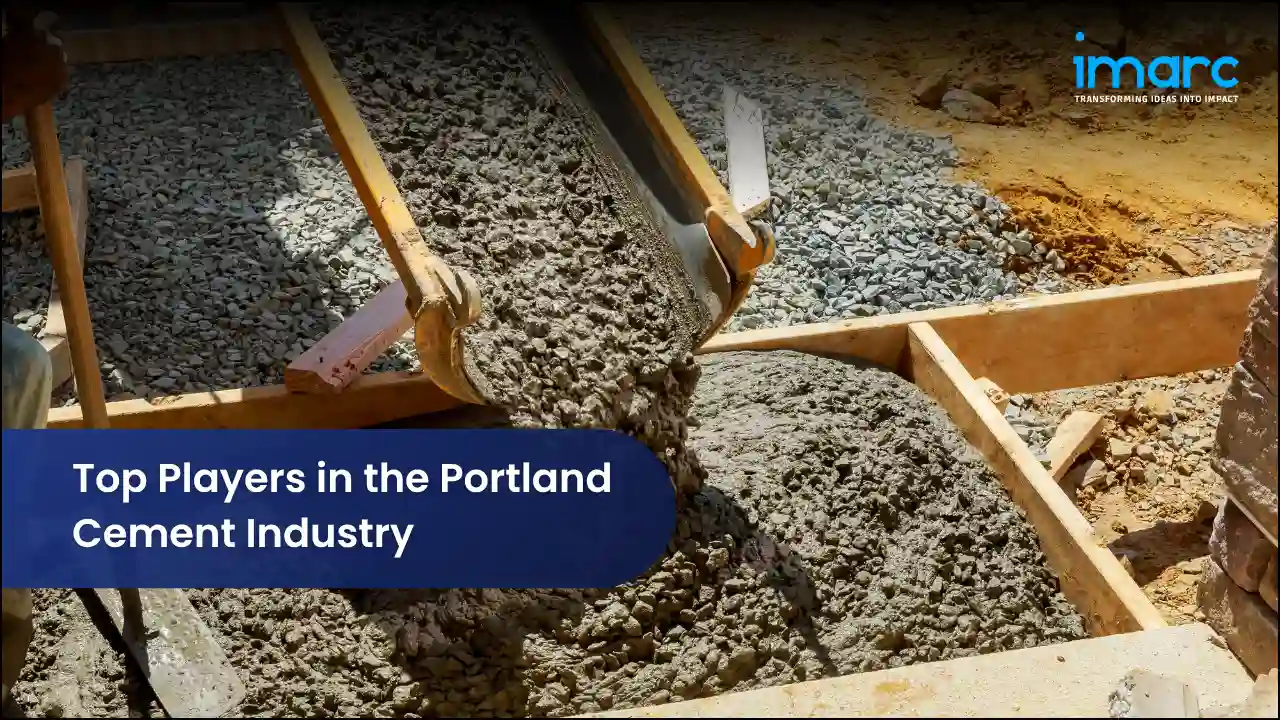 Top Players in the Portland Cement Industry
