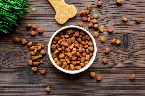 Top 4 Dog Food Companies in the World