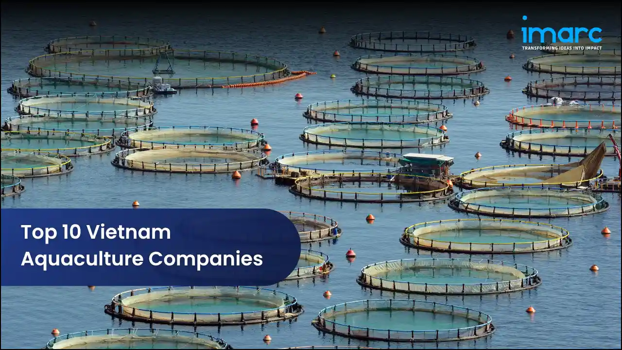 Top 10 Vietnam Aquaculture Companies