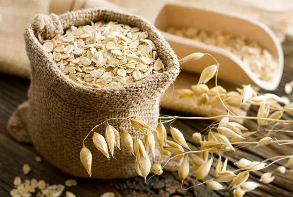 Top Trends in Global Oats Industry