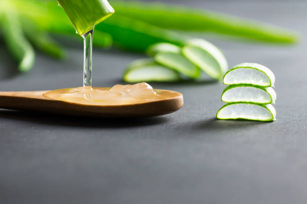 Top 8 Aloe Vera Gel Companies Around in the World