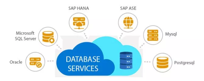 Top 8 Database as a Service Companies in the World 