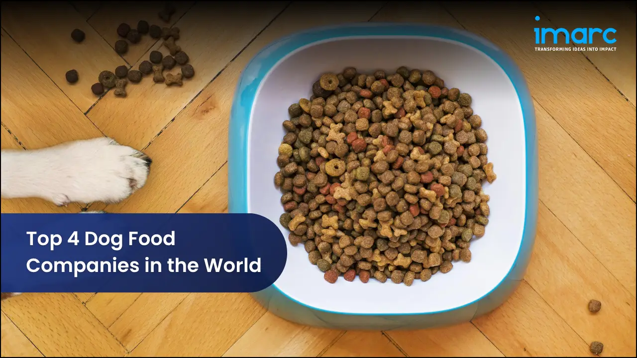 Top 4 Dog Food Companies in the World
