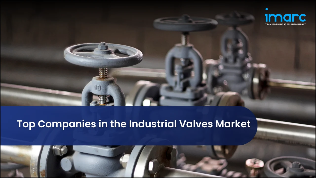 Top Companies in the Industrial Valves Market