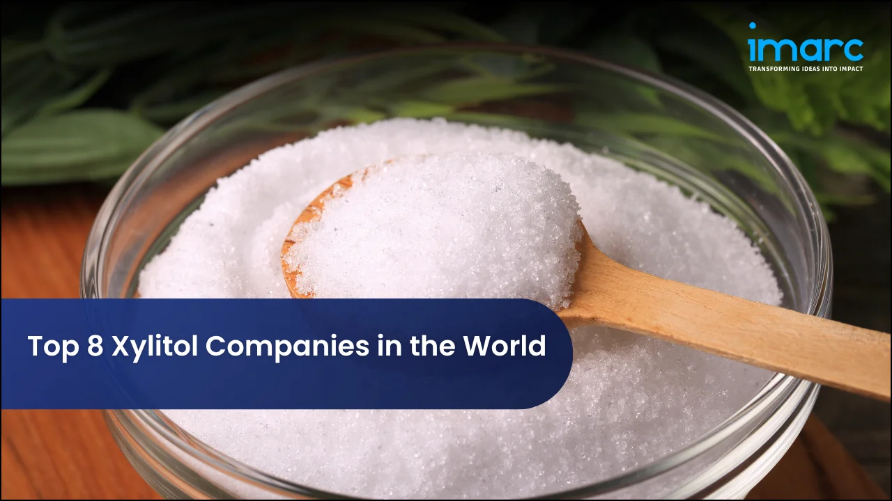 Top 8 Xylitol Companies in the World 