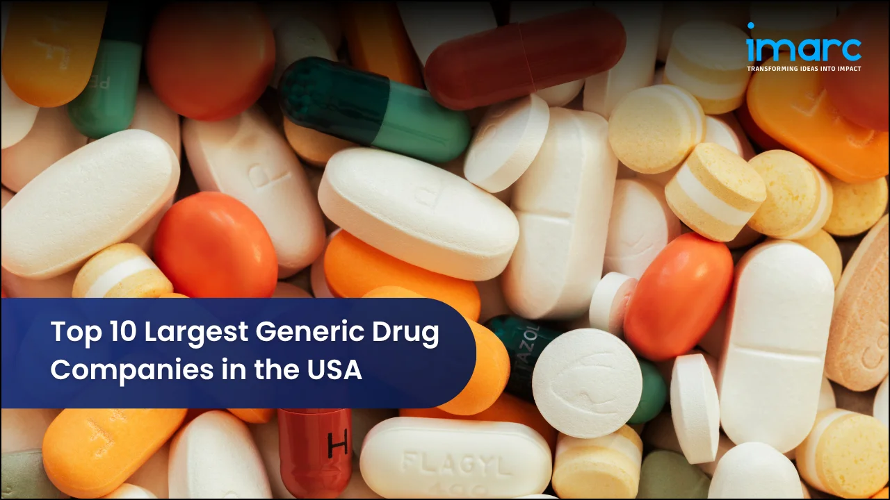 Top 10 Largest Generic Drug Companies in the USA