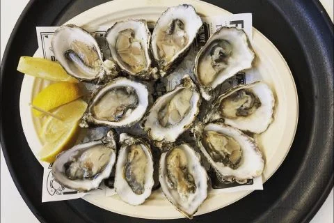 Top 15 Oyster Companies in the World