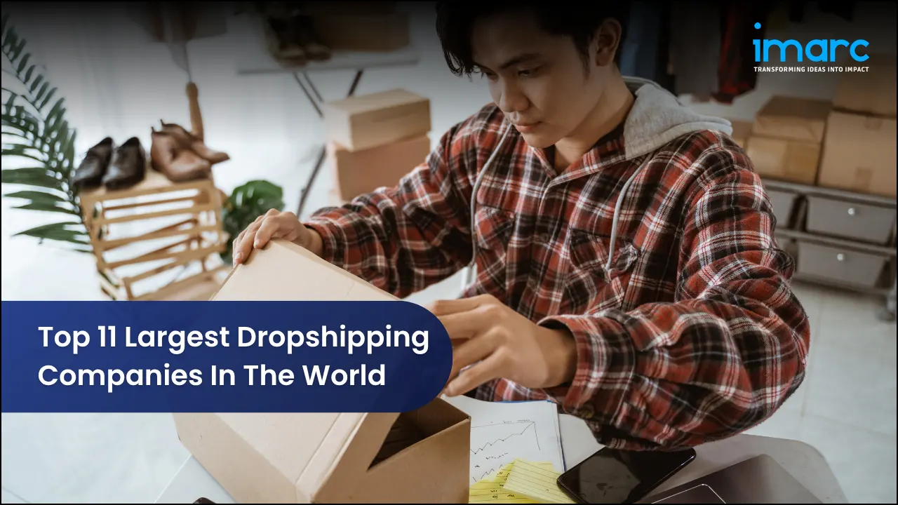 Top 11 Largest Dropshipping Companies In The World