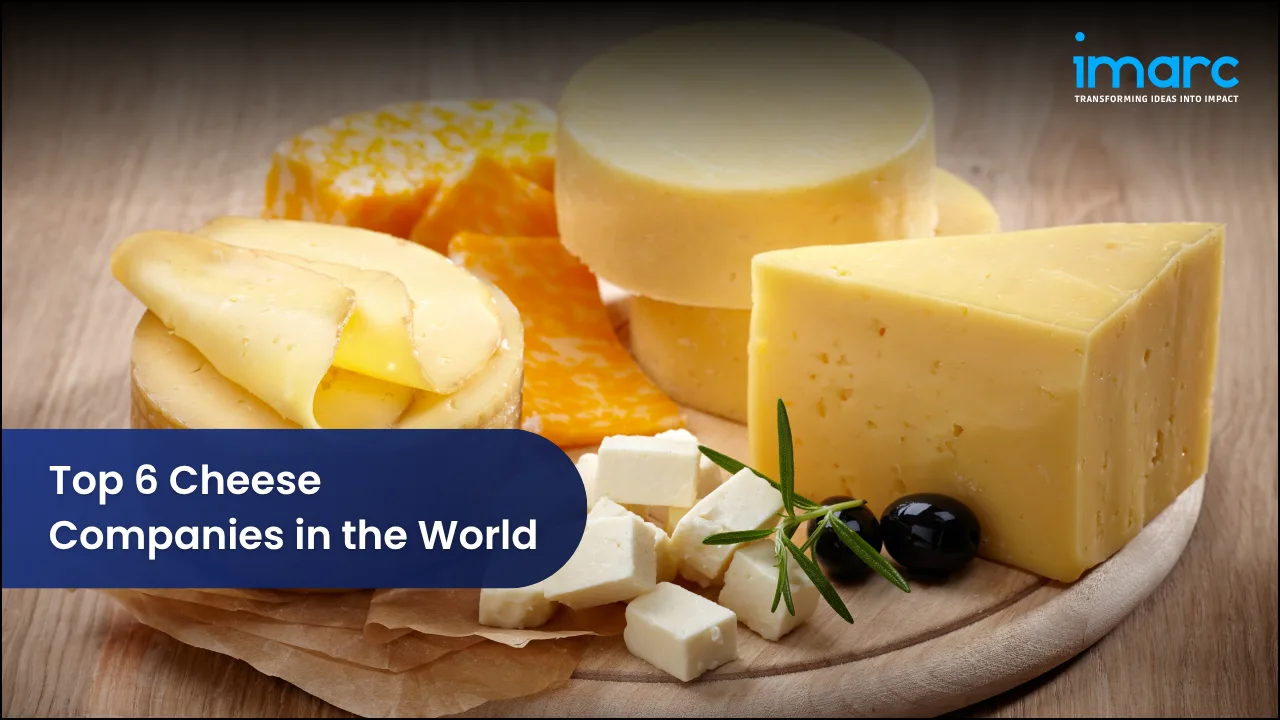 Top 6 Cheese Companies in the World