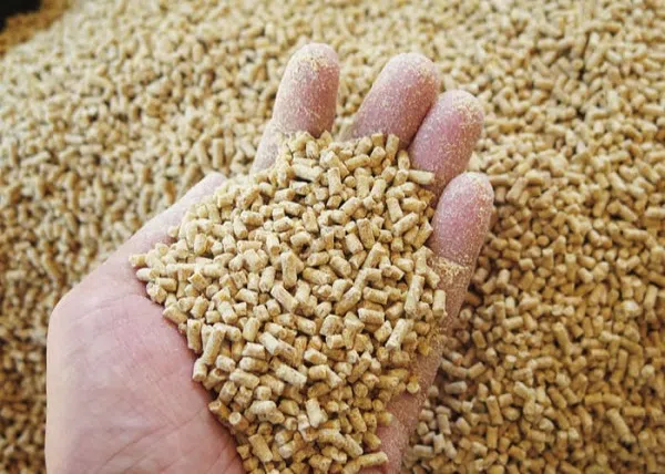 Leading Players in the Global Animal Feed Market