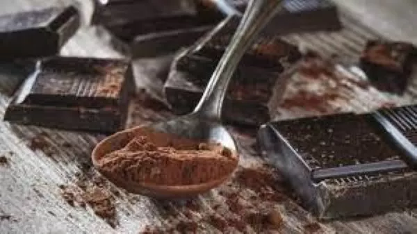 Top 12 Dark Chocolate Manufacturers in the World 
