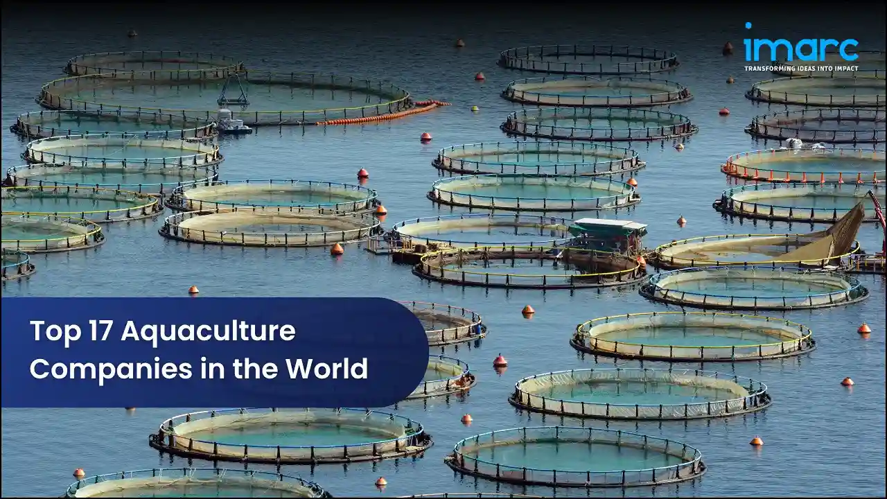 Top 17 Aquaculture Companies in the World 