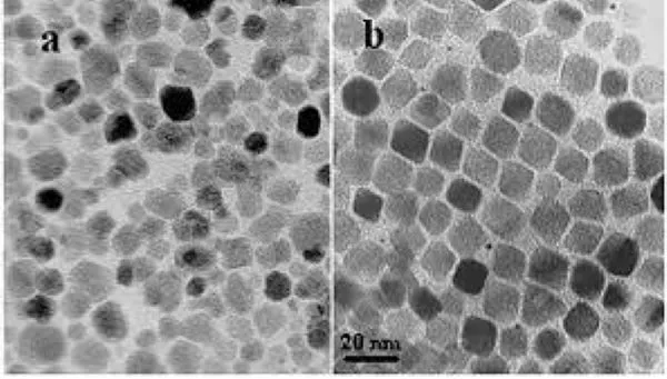 Top 11 Magnetite Nanoparticles Companies in the World 