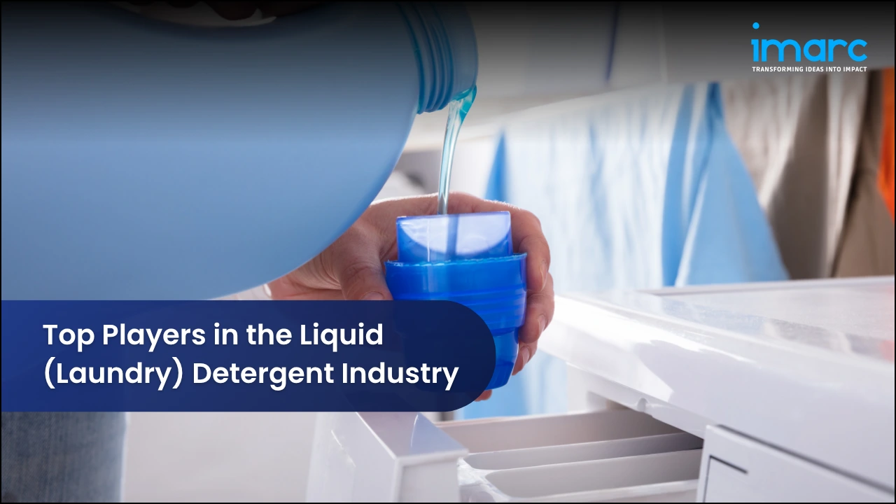 Top Players in the Liquid (Laundry) Detergent Industry