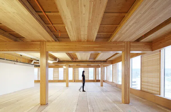 Top 5 Cross-Laminated Timber Manufacturers Worldwide