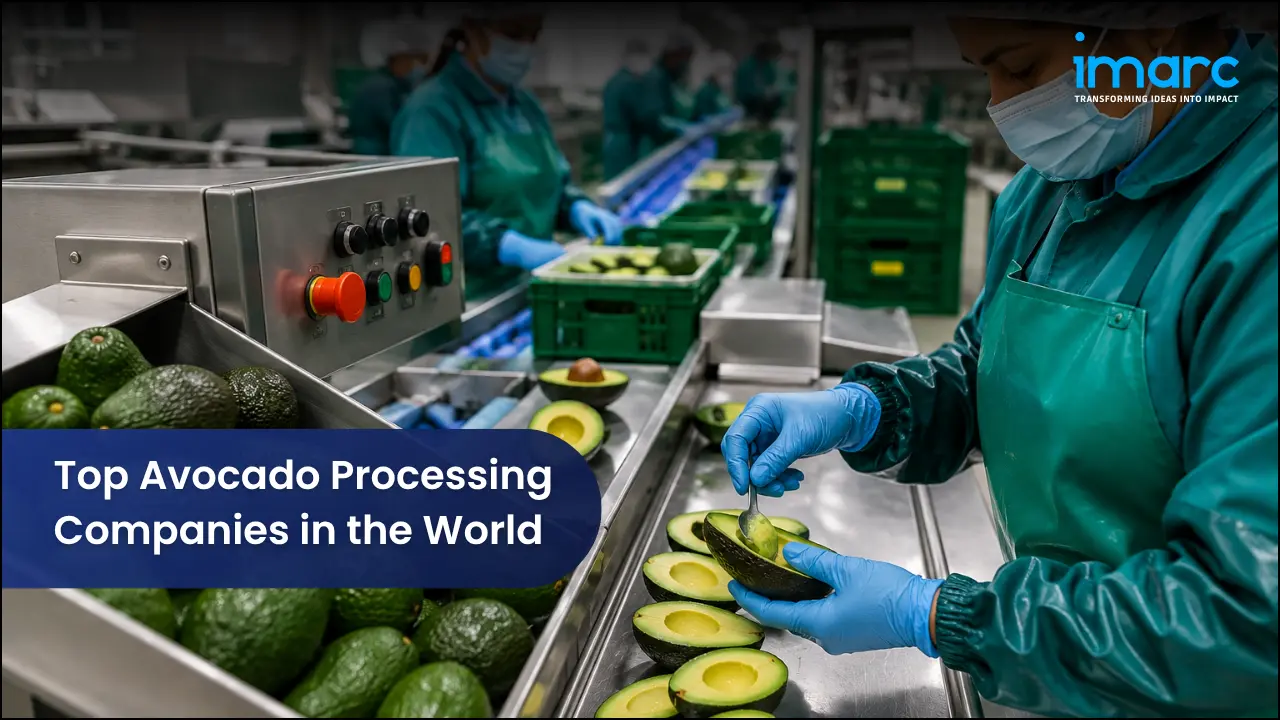Top Avocado Processing Companies in the World
