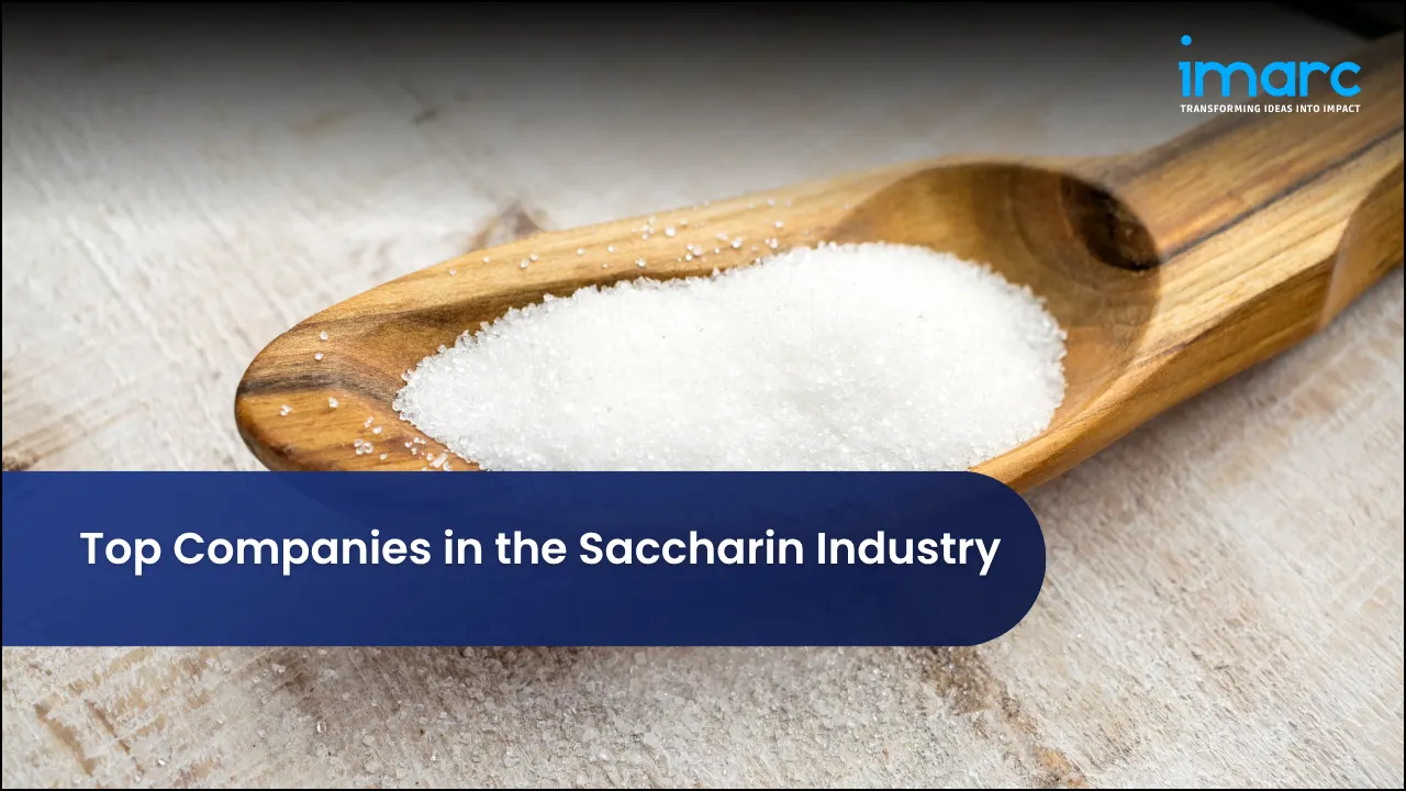 Top Companies in the Saccharin Industry