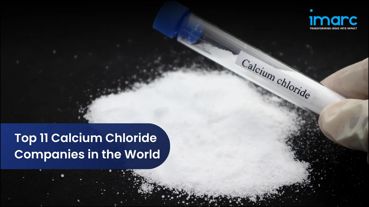 Top 11 Calcium Chloride Companies in the World 