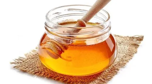 Top 10 Honey Companies in India