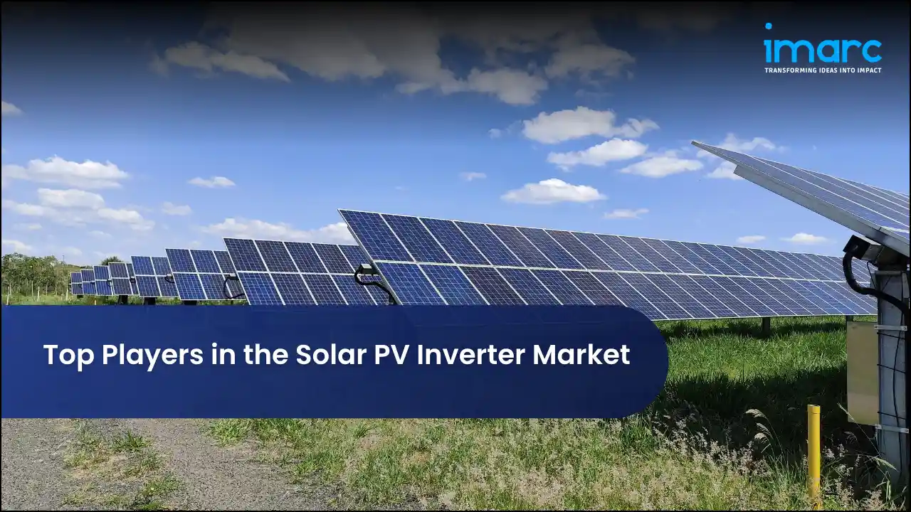 Top Players in the Solar PV Inverter Market